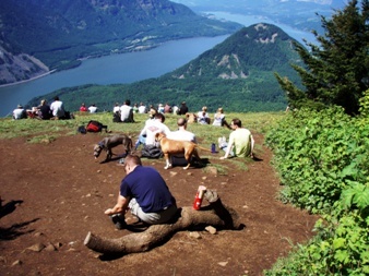 The highest viewpoint on Dog Mountain